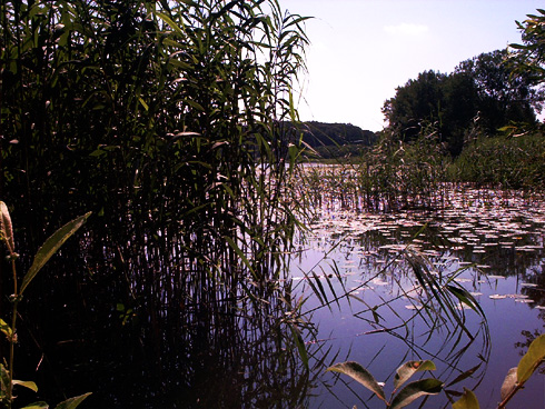 Sternberger See