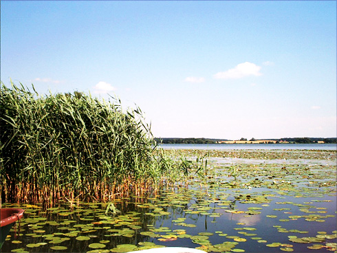 Sternberger See