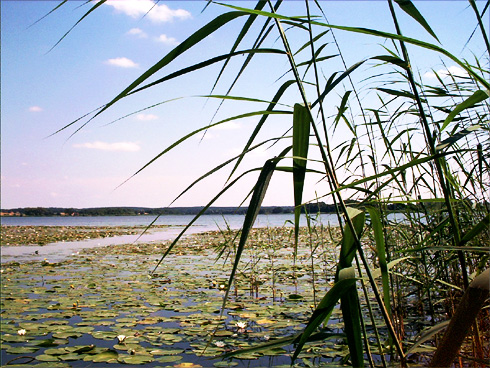 Sternberger See